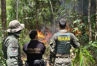 Operações contra o garimpo ilegal na Terra Indígena Yanomami são realizadas por PF e Ibama (Foto: PF)