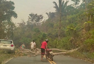 Incêndio derrubou árvore sobre fiação, deixando Tepequém sem energia, água e internet por 14 horas (Foto: Divulgação)