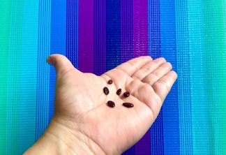 As sementes são pequenos tesouros nutricionais que podem trazer uma série de benefícios para a saúde quando incluídas em uma dieta equilibrada (Foto: Raisa Carvalho)