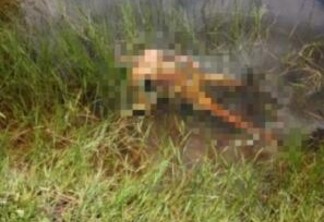 O corpo foi encontrado com 24 facadas em um lago na Vila Sumaúma - Foto: Divulgação