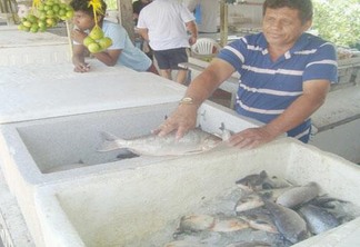 Falta de chuva influenciou na falta de peixe regional no mercado boa-vistense (Foto: Ribamar Rocha)