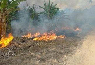 Femarh informou que encaminhará equipe para fiscalizar ocorrência de incêndios na região do Apiaú (Foto: Divulgação/Marcelo Pinho)