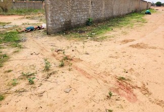 Um pequeno rastro de sangue foi encontrado, o que evidencia que a vítima foi arrastada e desovada no terreno (Foto: Aldenio Soares)