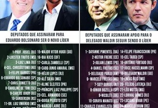 Imagem divulgada nas redes sociais de deputado do PSL mostra Nicoletti na lista de apoio ao Delegado Waldir e Luciano Bivar, presidente da sigla (Fotos: Reprodução )