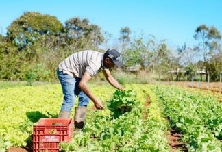 Até 2021 o procedimento será realizado com os produtores de todos os municípios de Roraima (Foto: Divulgação)