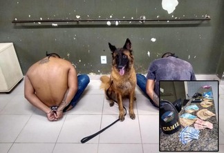 Os policias contaram com o auxílio do cão de detecção (Foto: Divulgação)