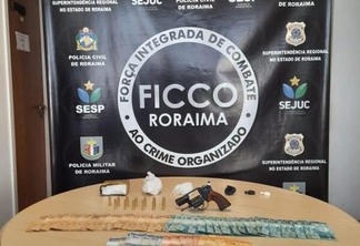 Material apreendido pela Ficco (Foto: Ficco/RR)