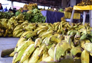 Consumidor deve dar preferência às bananas orgânicas para evitar contaminação por agrotóxicos (Foto:Nilzete Franco)