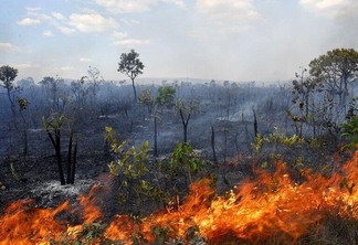 A média para o mês é de 48 pontos de incêndio. (Foto: Nilzete Franco/FolhaBV)