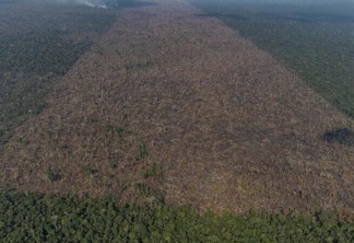 O estudo foi lançado na última segunda-feira, 4, durante o painel “Infraestrutura para uma economia da sustentabilidade na Amazônia” (Foto: Victor Moriyama/Amazônia em Chama/Divulgação Greenpeace)
