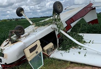 Avião de pequeno porte caiu dentro de fazenda (Foto: Divulgação)