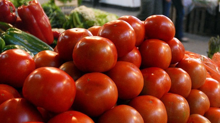 O tomate é uma excelente fonte de vitaminas e minerais essenciais para o bom funcionamento do organismo (Foto: Arquivo/FolhaBV)