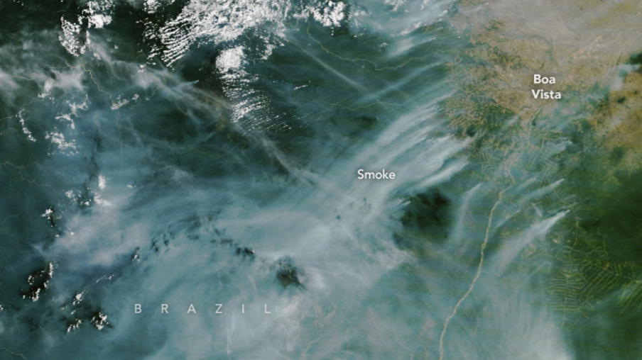 Fumaça de queimadas em Roraima já é visível para satélites da Nasa (Foto: DIvulgação/Nasa)