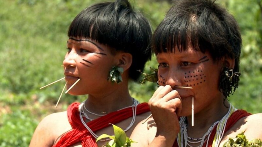 Terra Indígena Yanomami abrange uma extensa área de Roraima, além de uma parte do estado do Amazonas, totalizando cerca de 9,6 milhões de hectares (Foto: Divulgação)