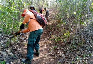 Brigadistas e voluntários indígenas conseguem apagar queimadas no Uiramutã (Fotos: Defesa Civil do Uiramutã)