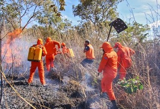 Brigadistas irão atuar em Roraima no combate aos incêndios florestais (Foto: Divulgação)