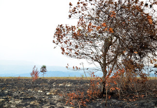 Estiagem e queimadas atingem o Norte de Roraima. (Foto: Nilzete Franco/FolhaBV)