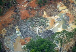 Imagem mostra os estrados provocados pelo garimpo ilegal na Terra Indígena Yanomami (Foto: Chico Batata/Greenpeace)