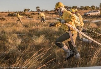 Os profissionais formarão a brigada temporária para a prevenção e combate a incêndios florestais e apoio operacional (Foto: Divulgação)