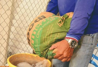 Preços do saco de cimento variam entre R$ 35 a R$ 43 a vista nas lojas procuradas pela reportagem - Foto: Nilzete Franco/FolhaBV