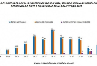 Dados da semana epidemiológica da ocorrência do óbito (Foto: Reprodução PMBV)