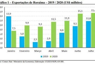 Dados da exportação de Roraima (Foto: Reprodução Seplan)