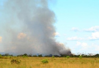 Objetivo é impedir aumento das queimadas no Estado (Foto: Nilzete Franco/FolhaBV)