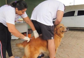As equipes estarão de 10 a 31 de outubro vacinando cães e gatos em diversos bairros da capital (Foto: Divulgação)