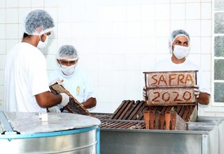 Cerca de 300 toneladas do mel já foram exportadas para Alemanha (Foto: Nilzete Franco/FolhaBV)