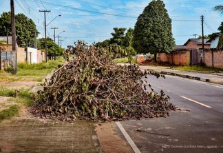 Galhos secos e folhas são deixados nas frentes das casas (Foto: Giovani Oliveira PMBV)