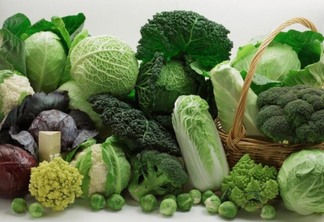Os folhosos verdes escuros, como brócolis, couve e acelga, tem alto poder de absorção de ferro e zinco, que contribuem para o sistema imunológico