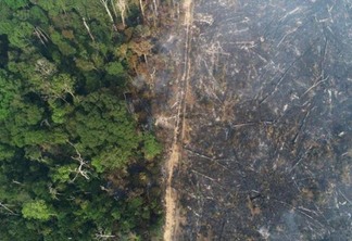Joe Biden disse ira prover US$ 20 bilhões para salvar a Amazônia das queimadas (Foto: Ueslei Marcelino/Reuters)