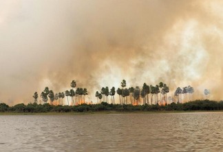 No acumulado dos dez meses deste ano, 4,2 milhões de hectares foram queimados no Pantanal, segundo WWWFBrasil (Foto: TGalluppi / WWFBrasil)