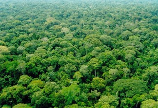 A Amazônia Legal é composta pelos Estados do Amazonas, Acre, Rondônia, Roraima, Pará, Maranhão, Amapá, Tocantins e Mato Grosso (Foto: Reprodução)