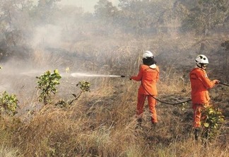 Atualmente, Roraima tem mais de 200 brigadistas em combate aos incêndios. (Foto: Divulgação)
