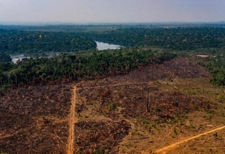 Os processos são movidos contra, aproximadamente, 230 acusados pela devastação de 135 mil hectares da Amazônia (Foto: Mayke Toscano/Secom-MT via Fotos Públicas)