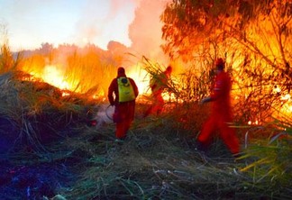 Brigadistas combatem incêndio em Roraima (Foto: Rodrigo Sales)
