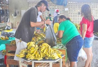 Produzida nas regiões centro-sul e sul do Estado, o cacho da banana varia de R$ 3 a R$ 12 na Feira do Produtor (Foto: Diane Sampaio)