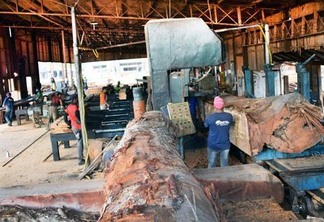 Madeireira Roraima produz até 35 metros cúbicos de madeira serrada por dia (Foto: Antônio Carlos)
