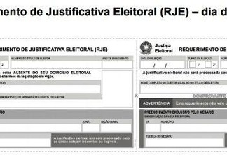 Documento está disponível para download nos sites dos Tribunais Superior e Regional Eleitoral (Foto: Nilzete Franco - FolhaBV)