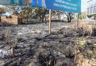 Fogo destruiu grande parte da vegetação do terreno (Foto: Diane Sampaio/Folha BV)