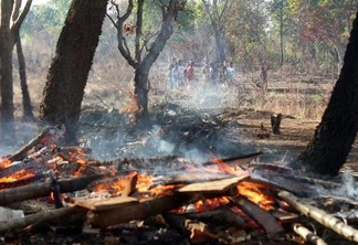 Fogo se alastrou dos barracos e queimou a vegetação da área preservada (Foto: Priscilla Torres/Folha BV)