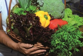 Alimentos orgânicos, itens cultivados por meio da agricultura familiar (Foto: Nilzete Franco/FolhaBV)