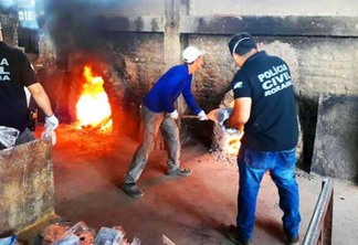 As drogas incineradas fazem parte de apreensões realizadas este ano (Foto: Diane Sampaio/Folha BV)