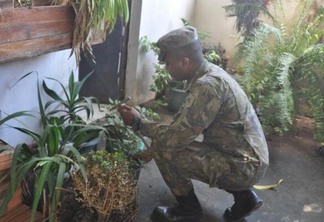 O trabalho é realizado por militares da Base Área de Boa Vista e agentes da Prefeitura de Boa Vista. (Foto: Diane Sampaio/FolhaBV)