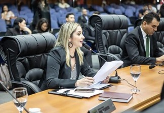 A deputada estadual Ione Pedroso é autora da lei que criou o Selo Empresa Sustentável (Foto: Divulgação)