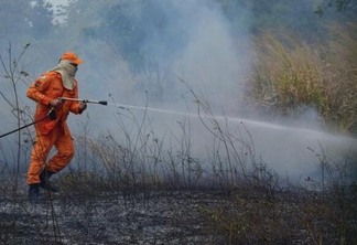 Foram gastos cerca de 3.600 litros d’água e empregados nove bombeiros no combate (Foto: Nilzete Franco/FolhaBV)