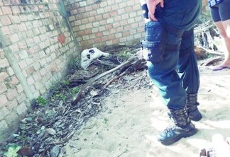 O corpo foi encontrado por homens que trabalhavam na limpeza do terreno (Foto: Divulgação)
