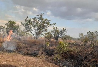 Registro de incêndio em área de vegetação no bairro Caçari, ocorrido no último sábado (7) (Foto: Ayan Ariel/Folha BV)