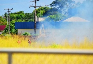 De acordo com a Defesa Civil os casos de queimadas em Roraima estão dentro da normalidade (Foto: Diane Sampaio)
